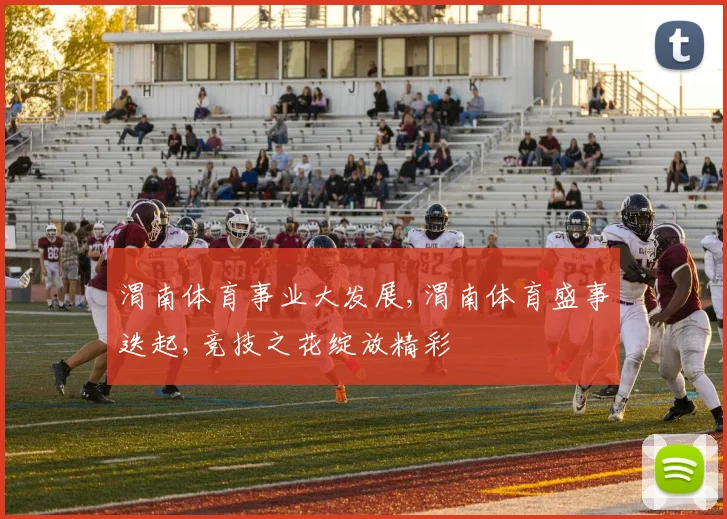 渭南体育事业大发展,渭南体育盛事迭起,竞技之花绽放精彩