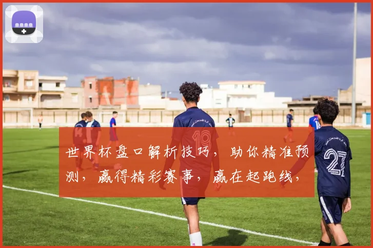 世界杯盘口解析技巧，助你精准预测，赢得精彩赛事，赢在起跑线，稳中求胜